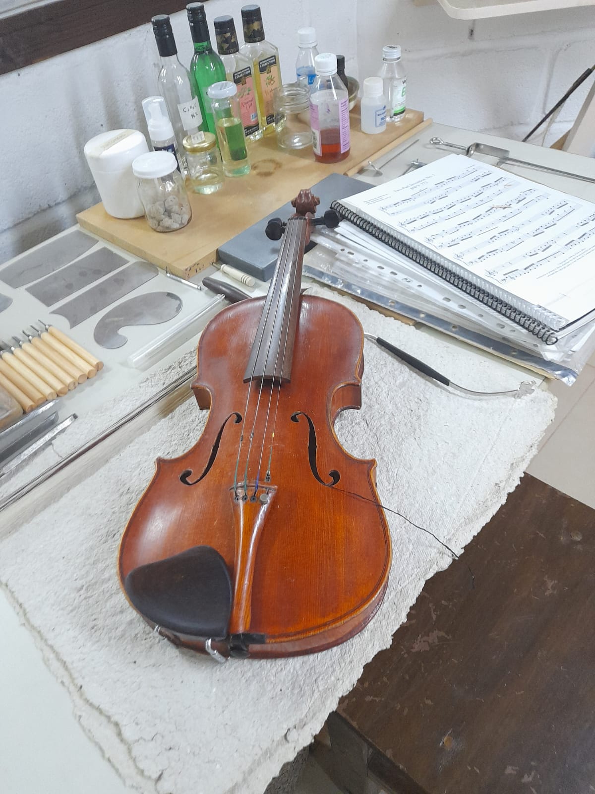 violin VLA